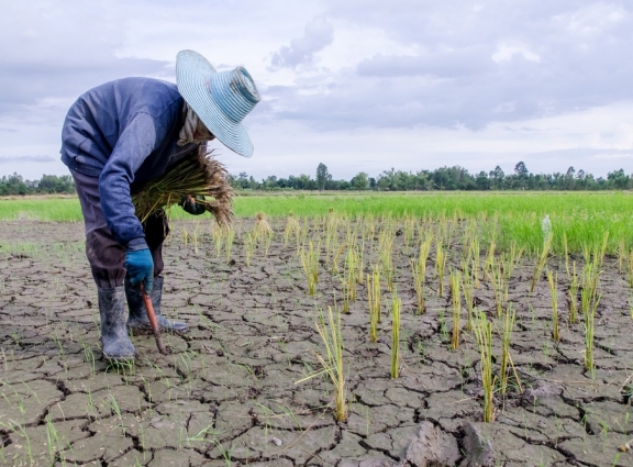 Natural disasters in Asia caused $48 billion worth of damage to agriculture in 2017