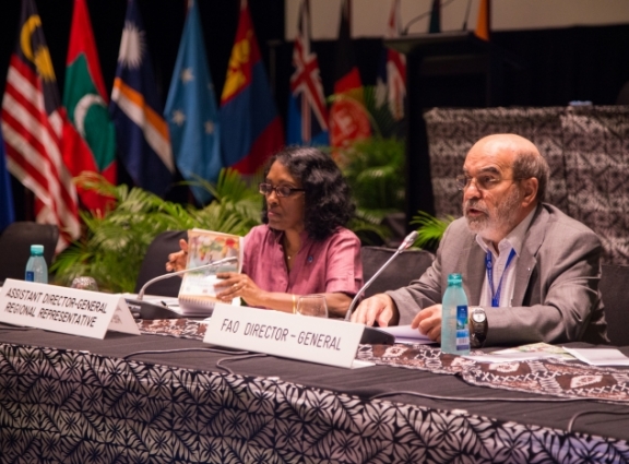 Asia needs to step up the fight against hunger, says FAO Director